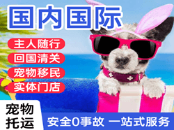 巴马机场空运国际宠物托运 【国